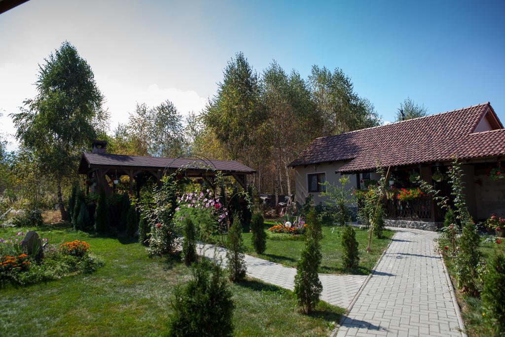 מלון Sîmbăta de Sus Pensiunea Royal Garden מראה חיצוני תמונה